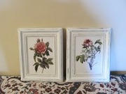 Free download Pierre Redoute `Roses Douleur` set created by Georgina Rockas free photo or picture to be edited with GIMP online image editor